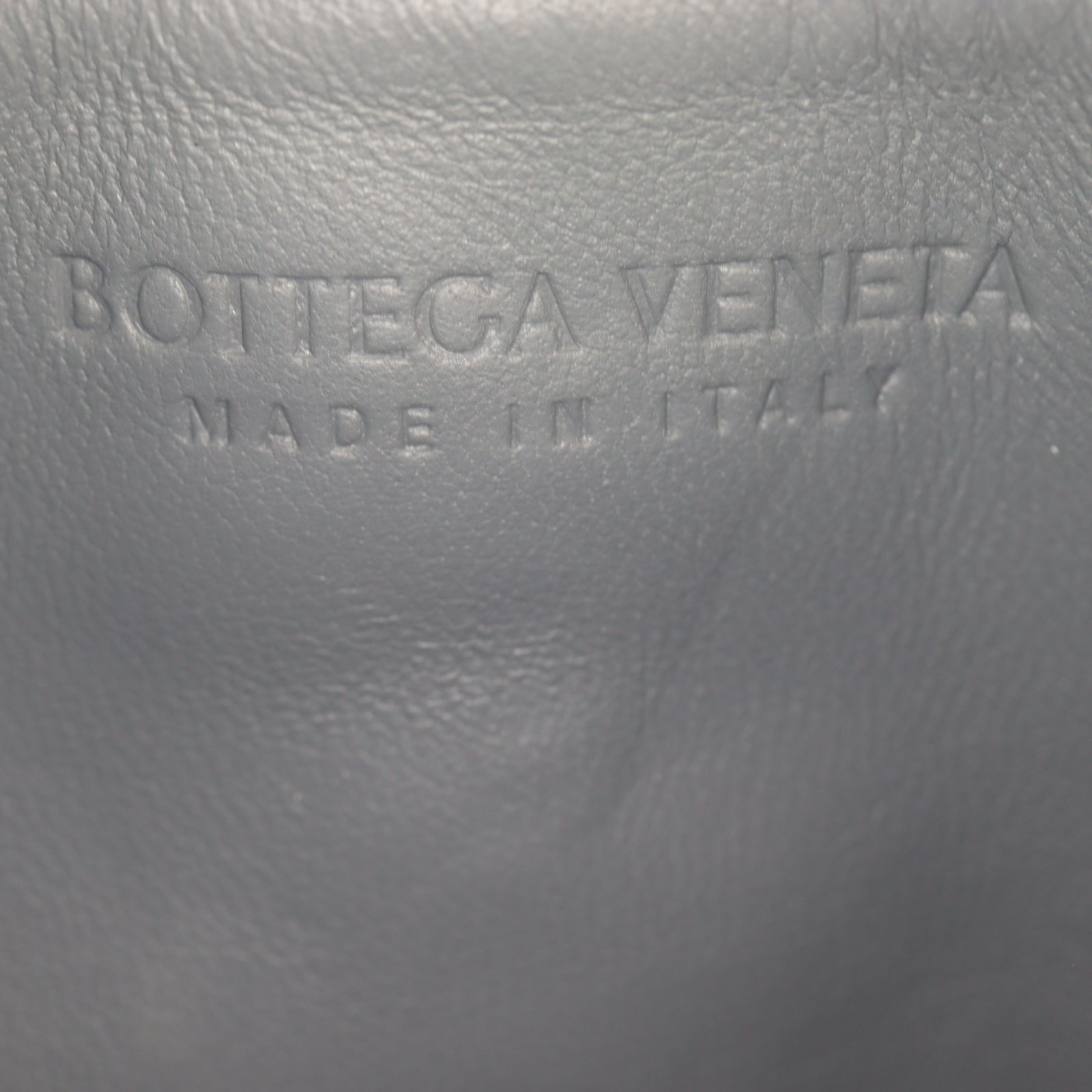 Bottega Veneta Padded Cassette_IMG_0468.jpg