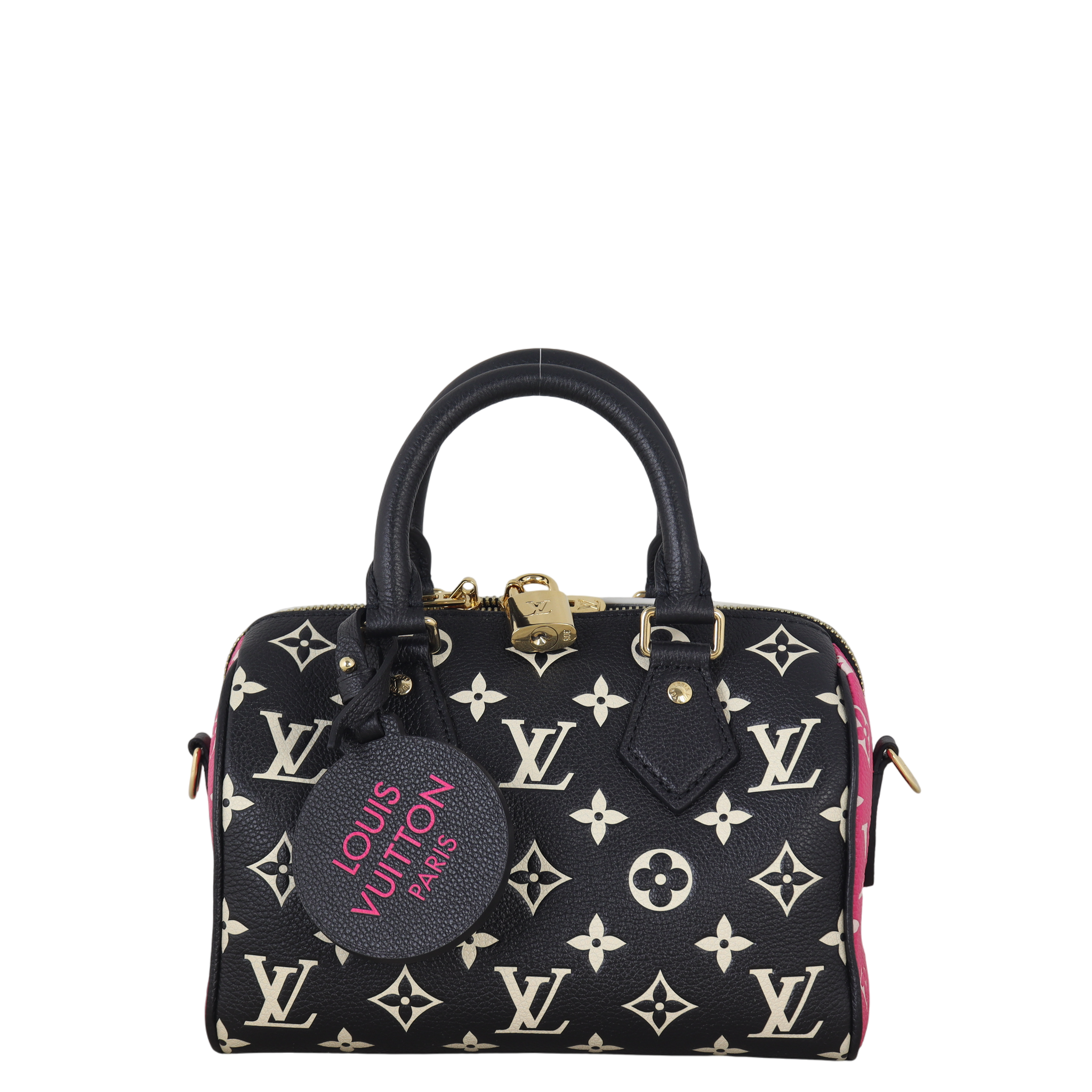 Louis Vuitton Speedy 20 Bandouliere Monogram Spring in the City
