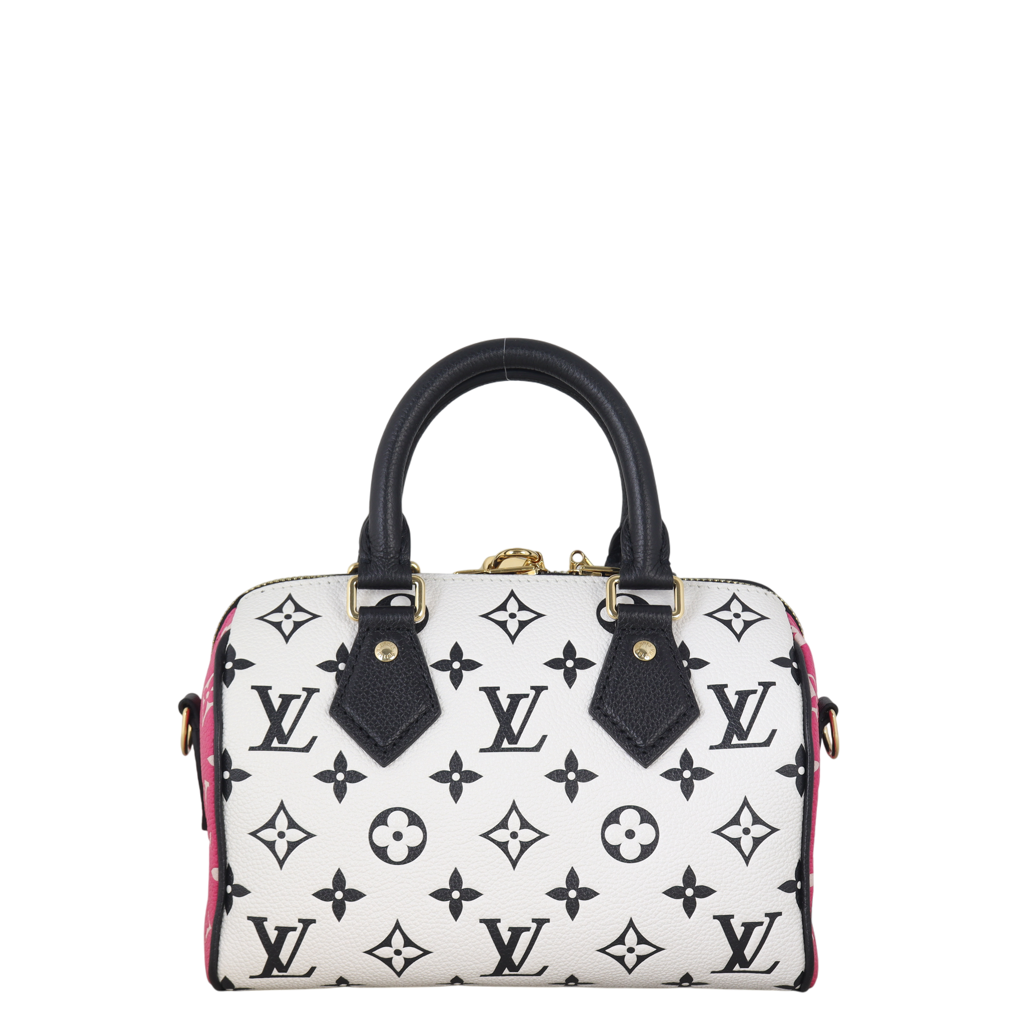 Louis Vuitton Speedy 20 Bandouliere Monogram Spring in the City