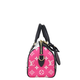 Louis Vuitton Speedy 20 Bandouliere Monogram Spring in the City