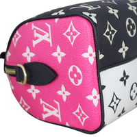 Louis Vuitton Speedy 20 Bandouliere Monogram Spring in the City