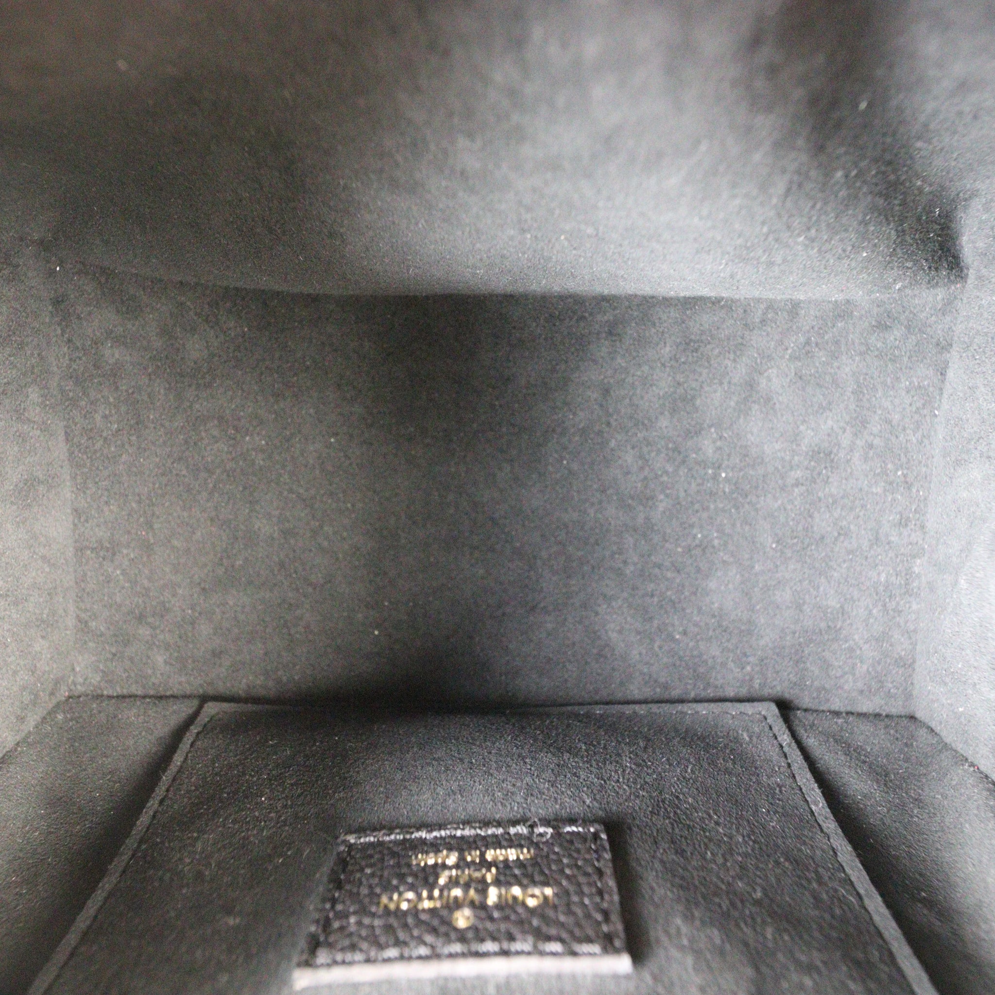 Louis Vuitton Speedy 20 Bandouliere Monogram Spring in the City