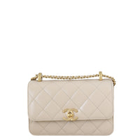 Chanel Perfect Fit Mini Flap Bag