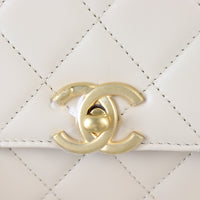 Chanel Perfect Fit Mini Flap Bag