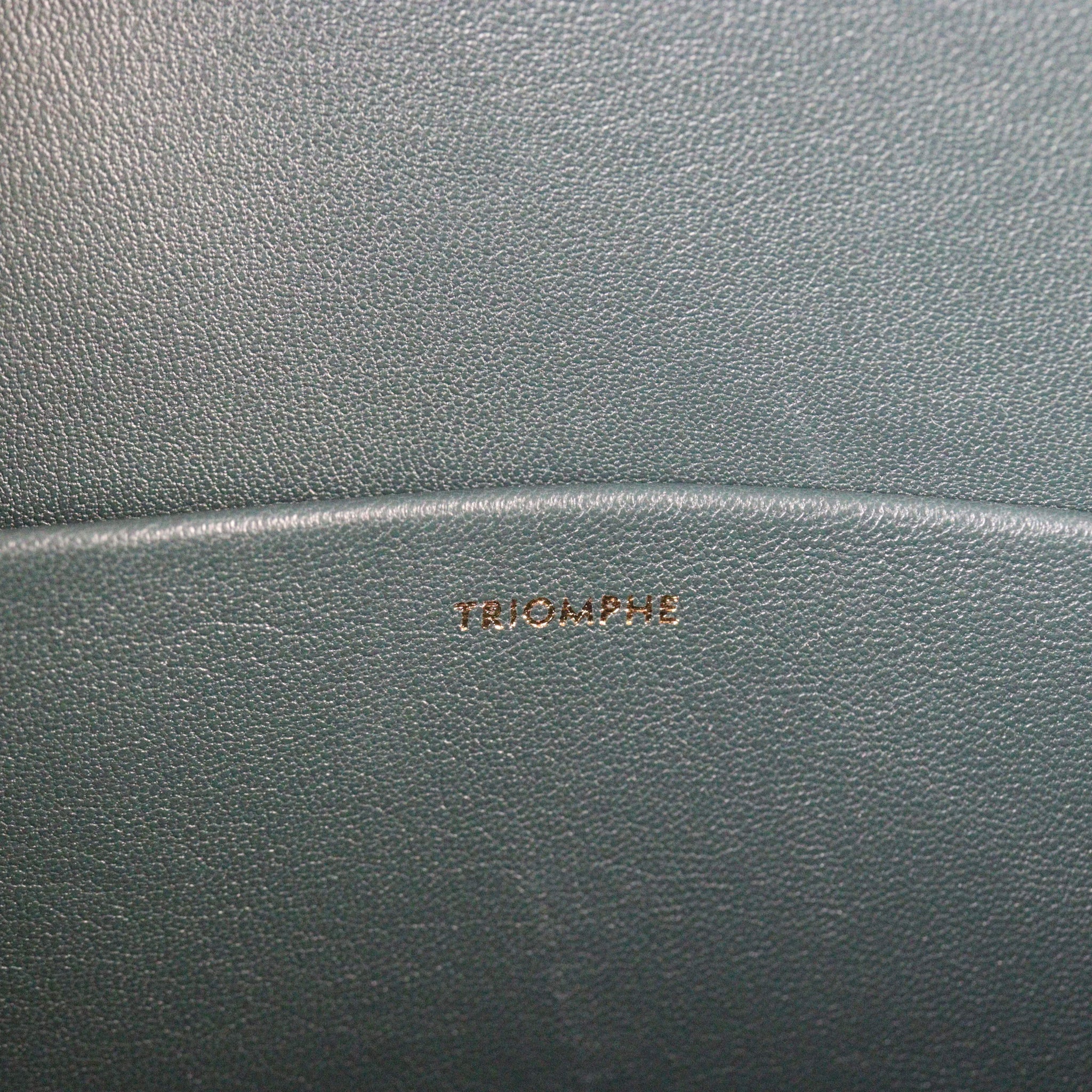 Celine Classique Triomphe Crossbody