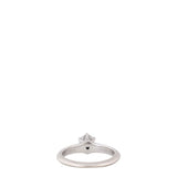 Tiffany & Co Setting Solitaire Diamond Platinum Ring
