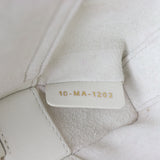 Dior Lady D-Joy Micro