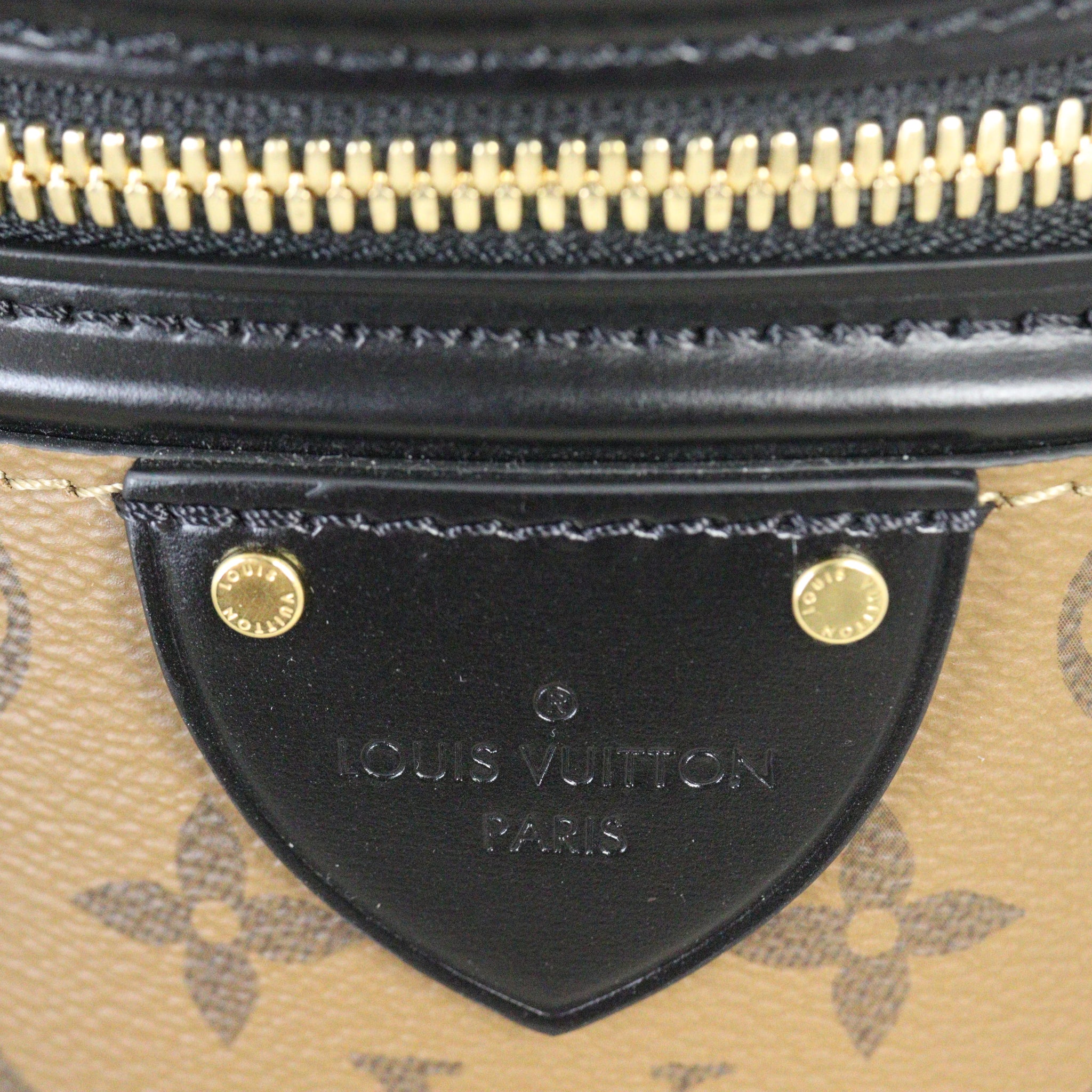 Louis Vuitton Cannes Monogram Reverse