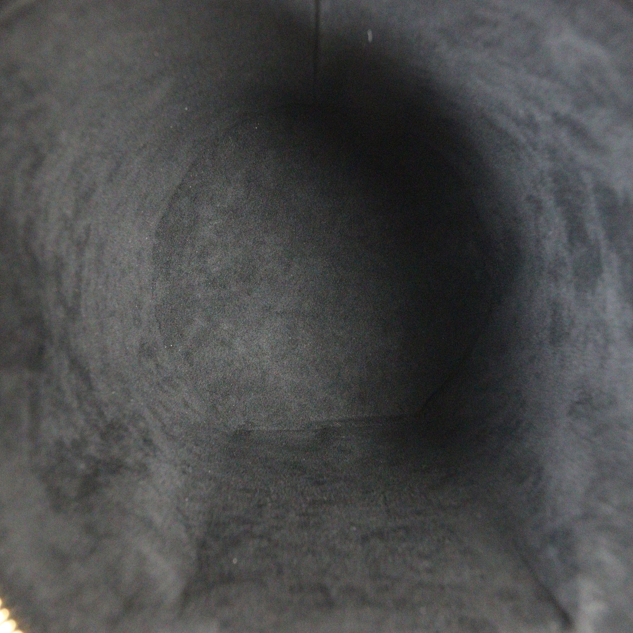 Louis Vuitton Cannes Monogram Reverse