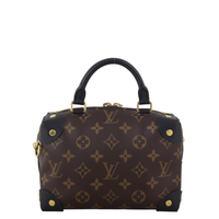 Louis Vuitton Petite Malle Souple Monogram