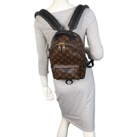 Louis Vuitton Palm Springs Backpack PM Monogram