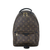 Louis Vuitton Palm Springs Backpack PM Monogram