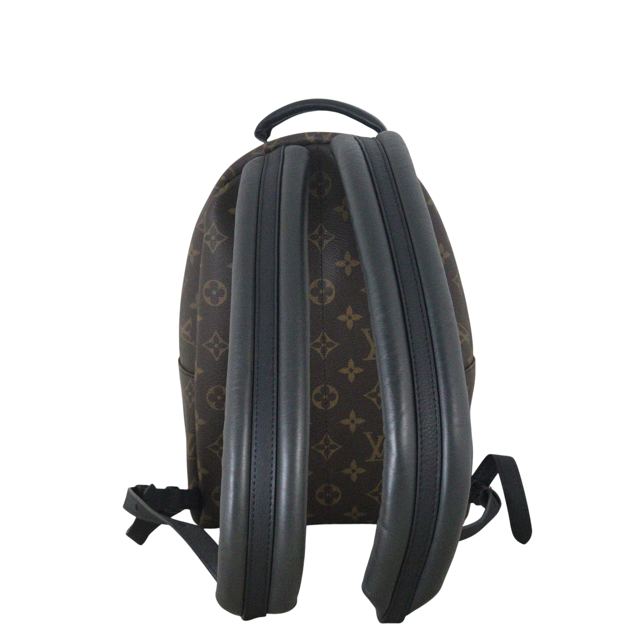Louis Vuitton Palm Springs Backpack PM Monogram