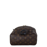 Louis Vuitton Palm Springs Backpack PM Monogram