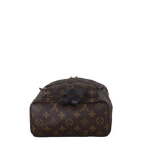 Louis Vuitton Palm Springs Backpack PM Monogram