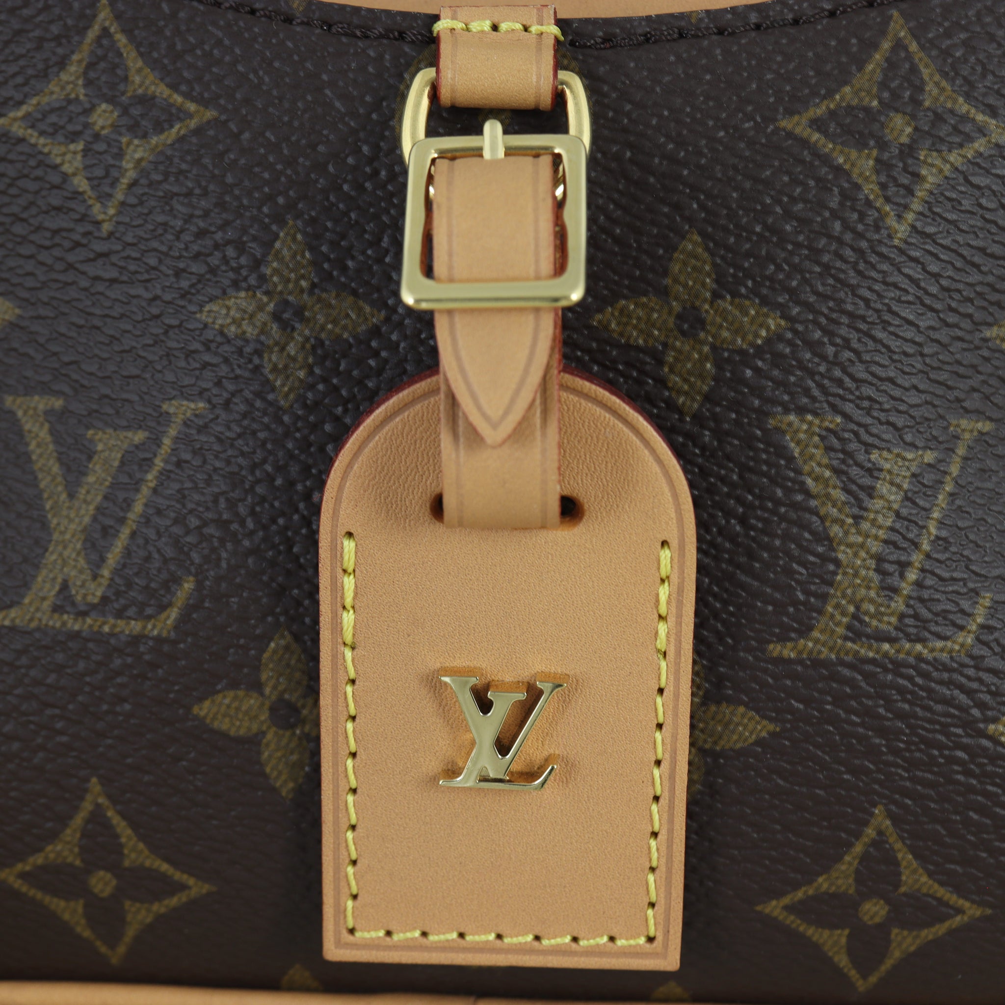 Louis Vuitton Deauville Mini Monogram