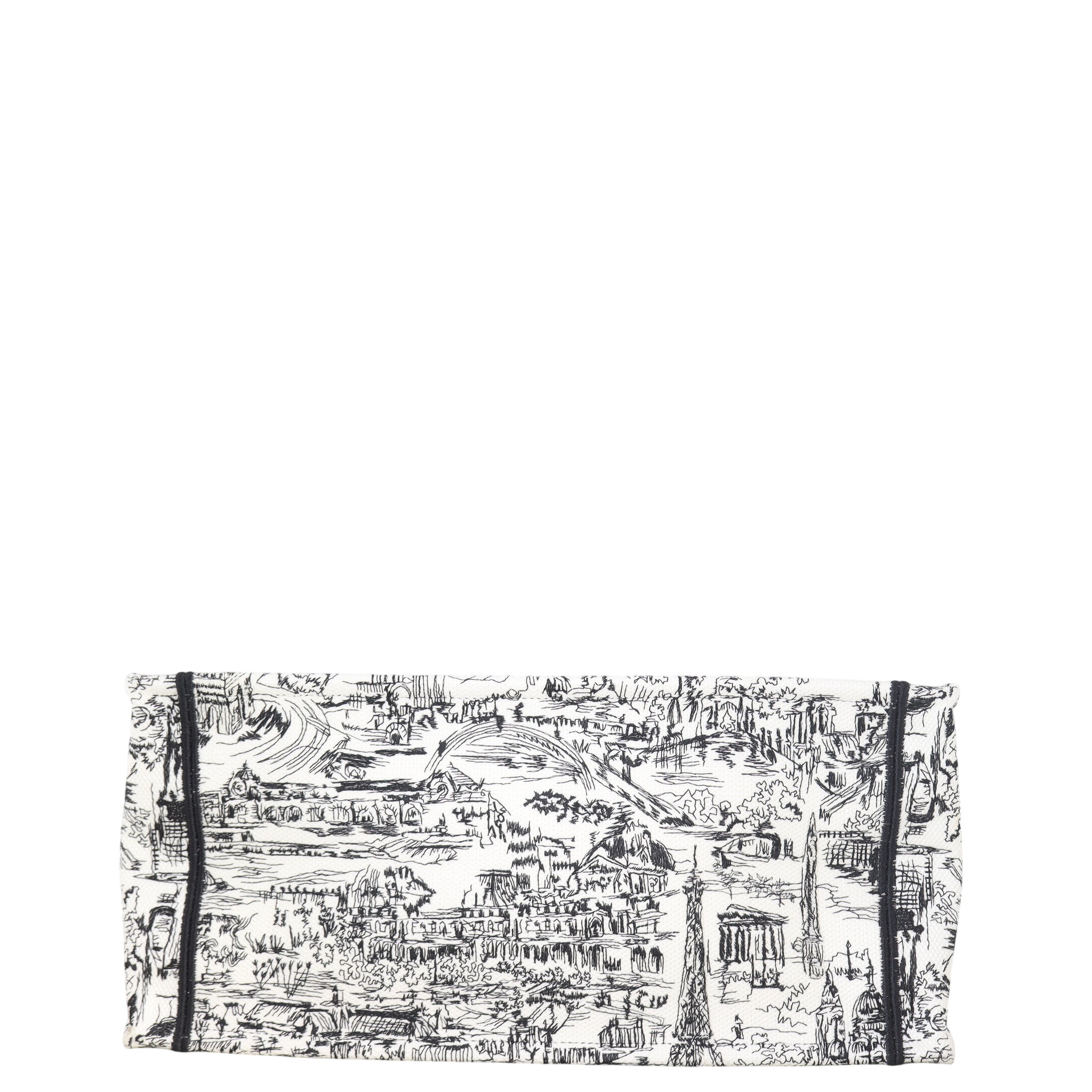 Dior Book Tote Medium Paris All Over