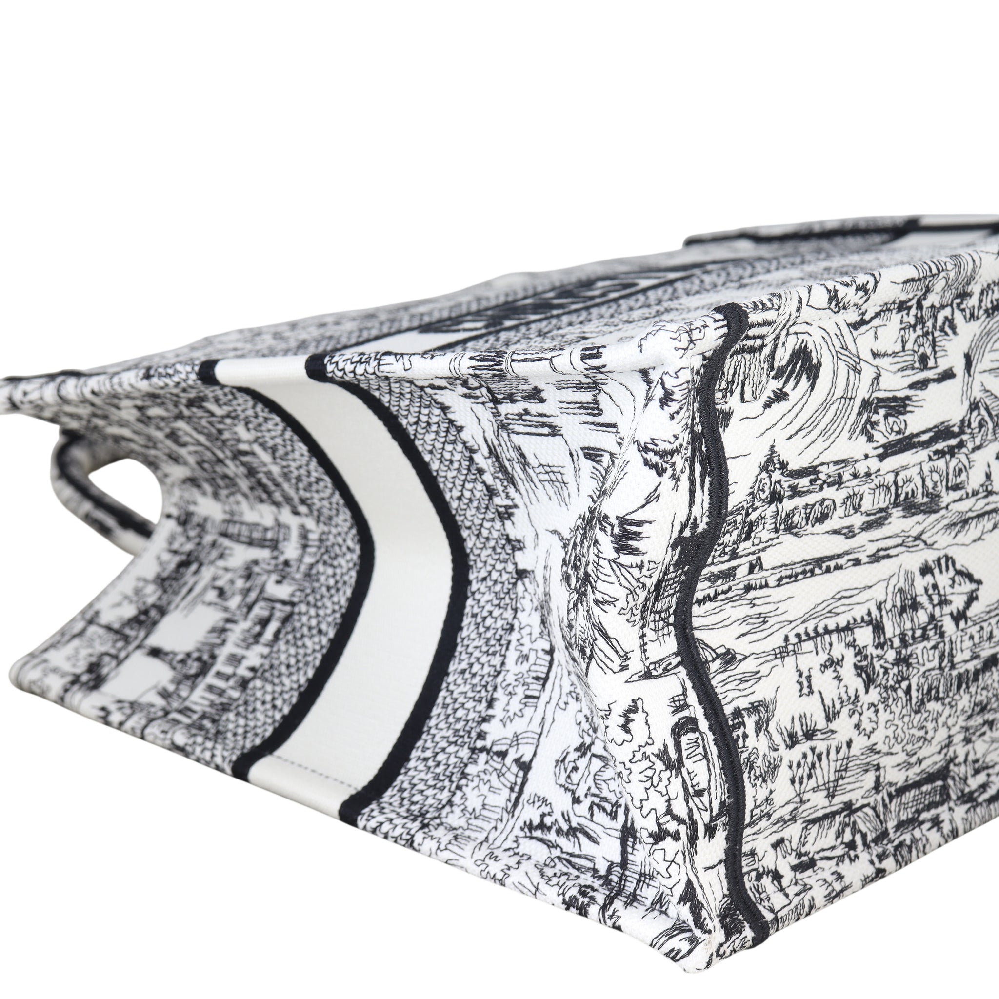 Dior Book Tote Medium Paris All Over