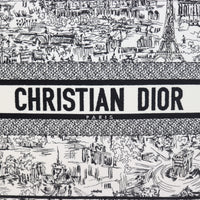Dior Book Tote Medium Paris All Over