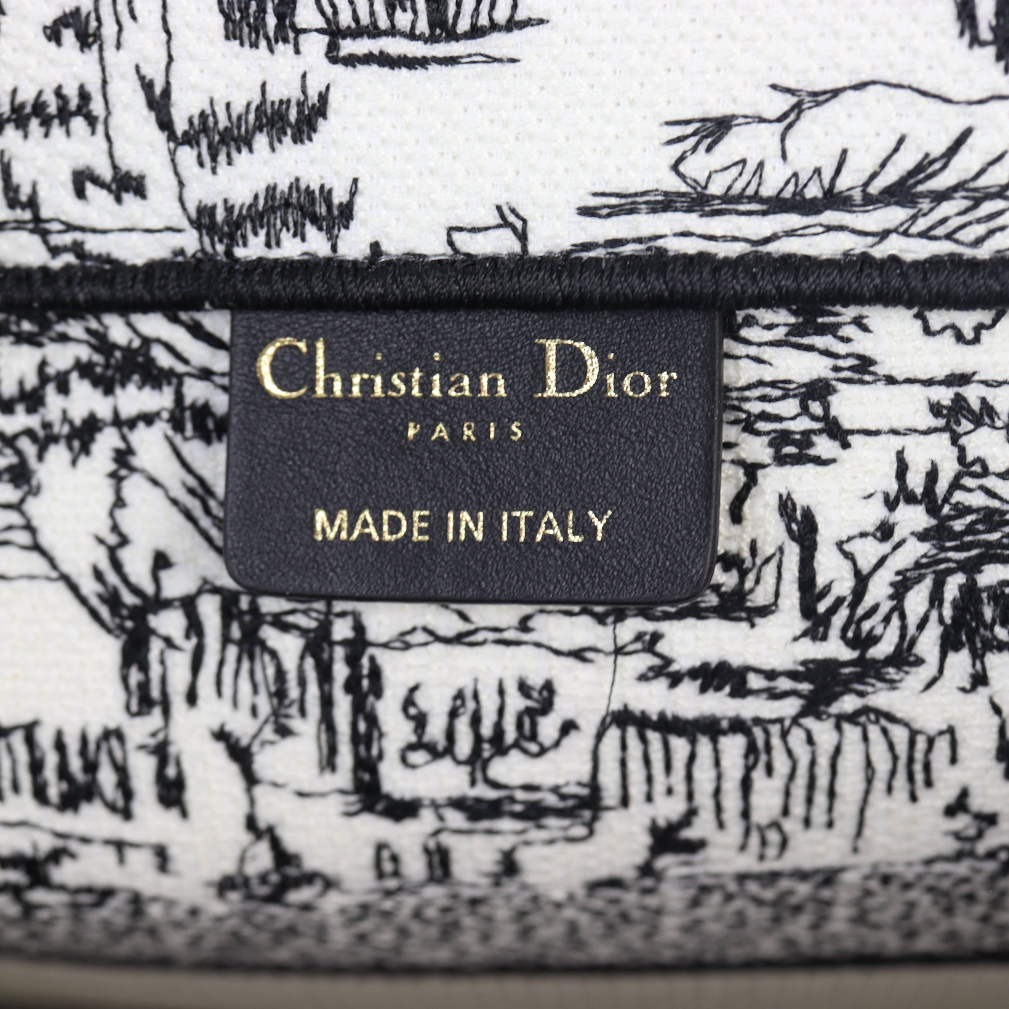 Dior Book Tote Medium Paris All Over