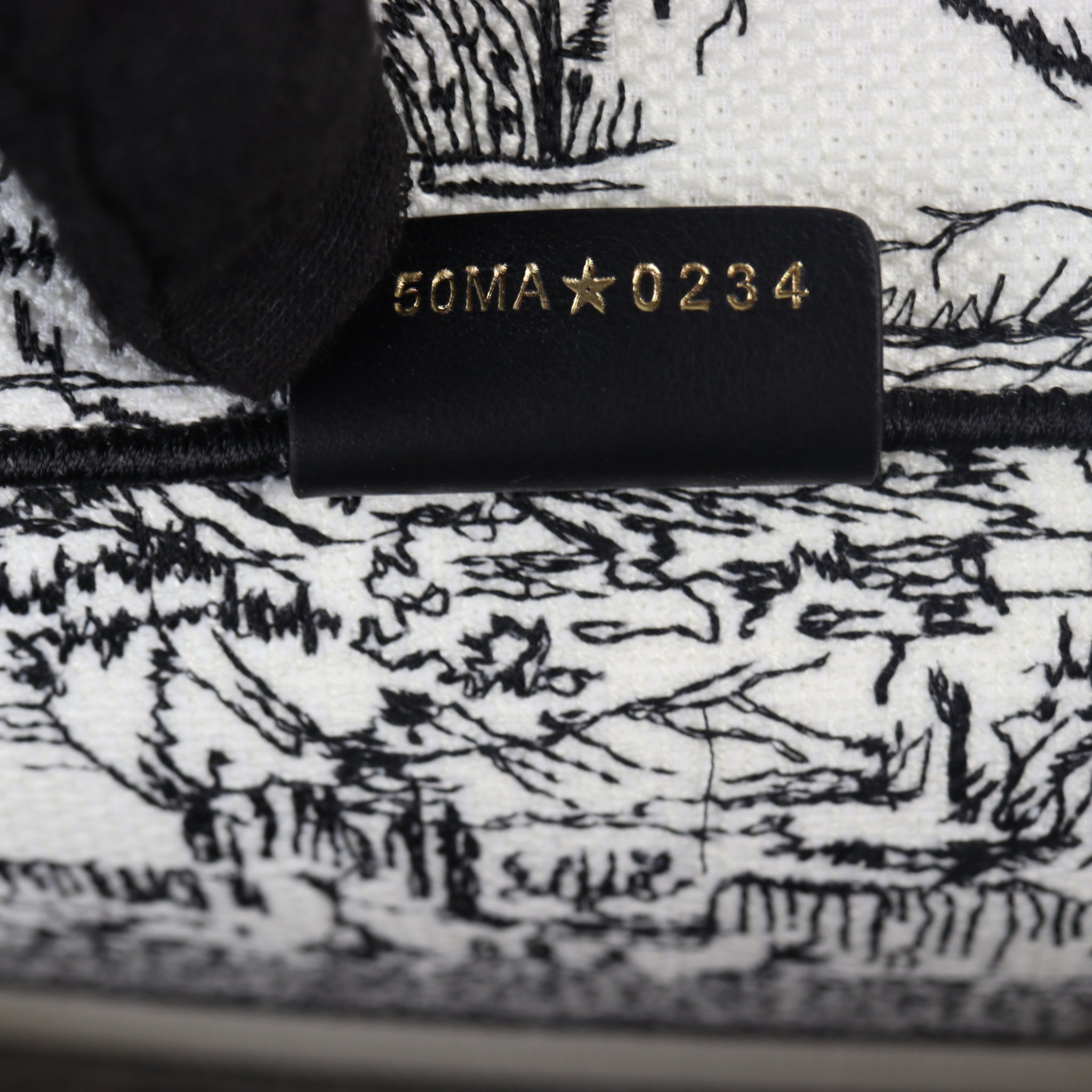 Dior Book Tote Medium Paris All Over