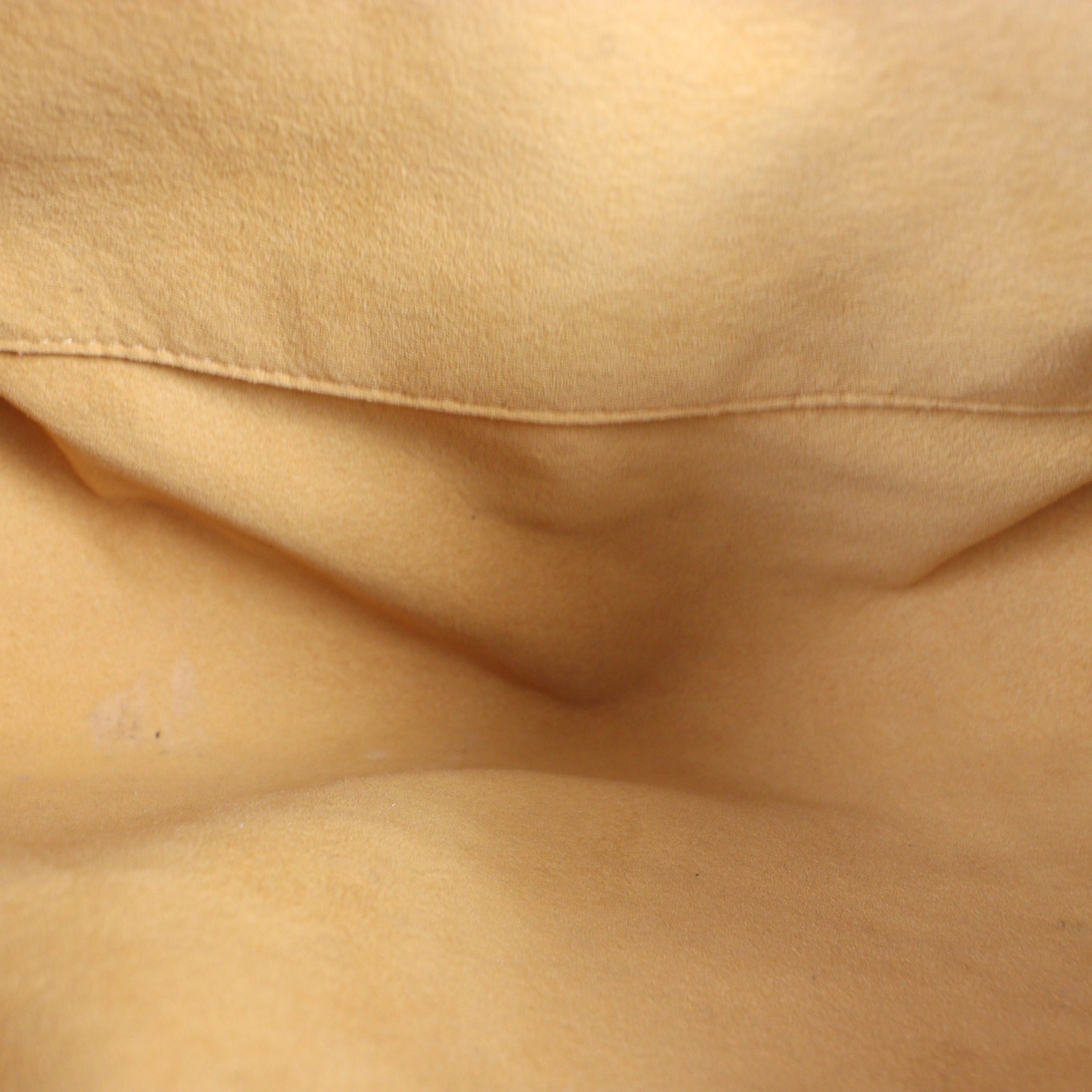 Louis Vuitton Denim Baggy PM