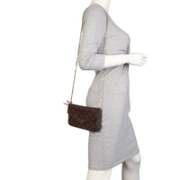 Louis Vuitton Pochette Felicie Monogram