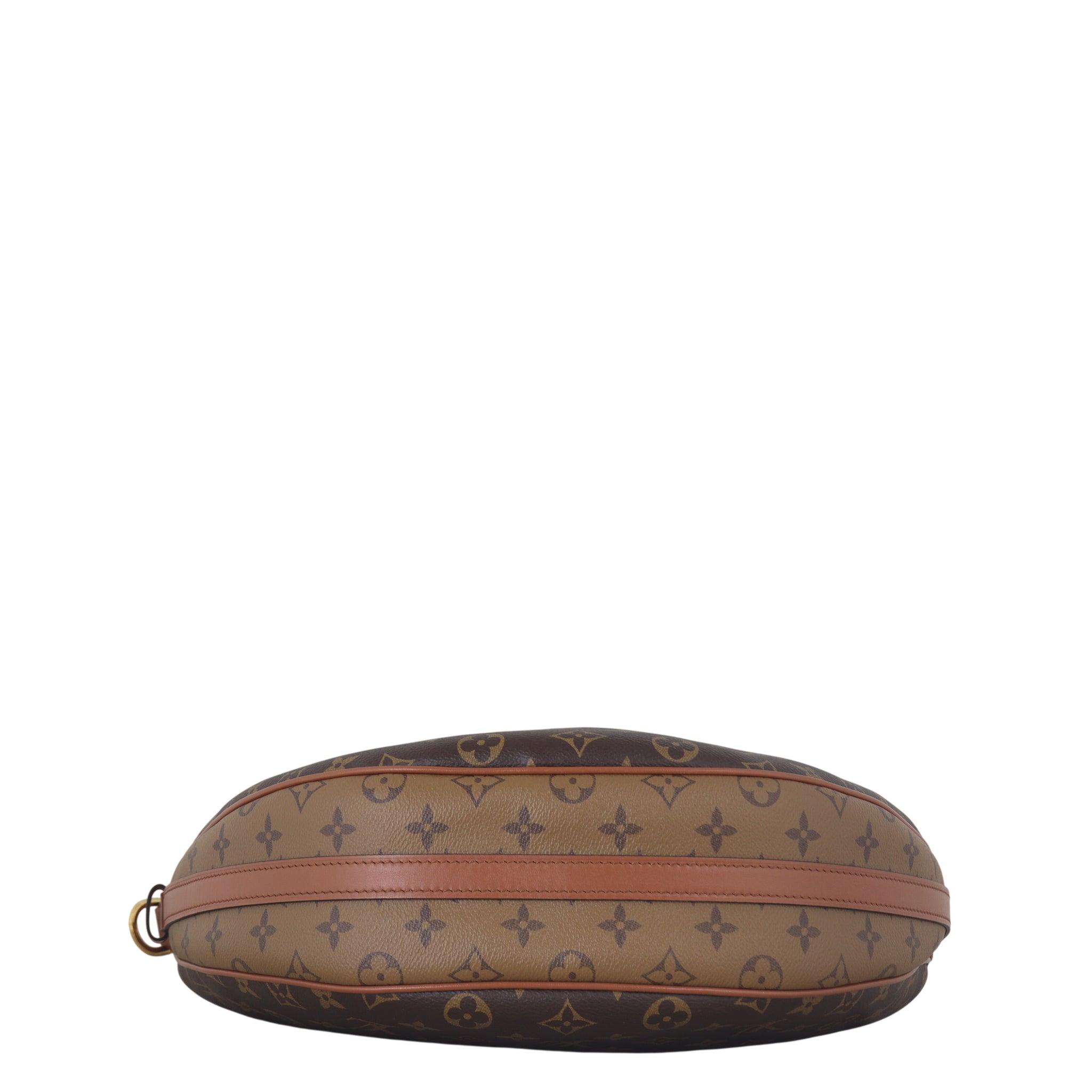 Louis Vuitton Loop Hobo Monogram