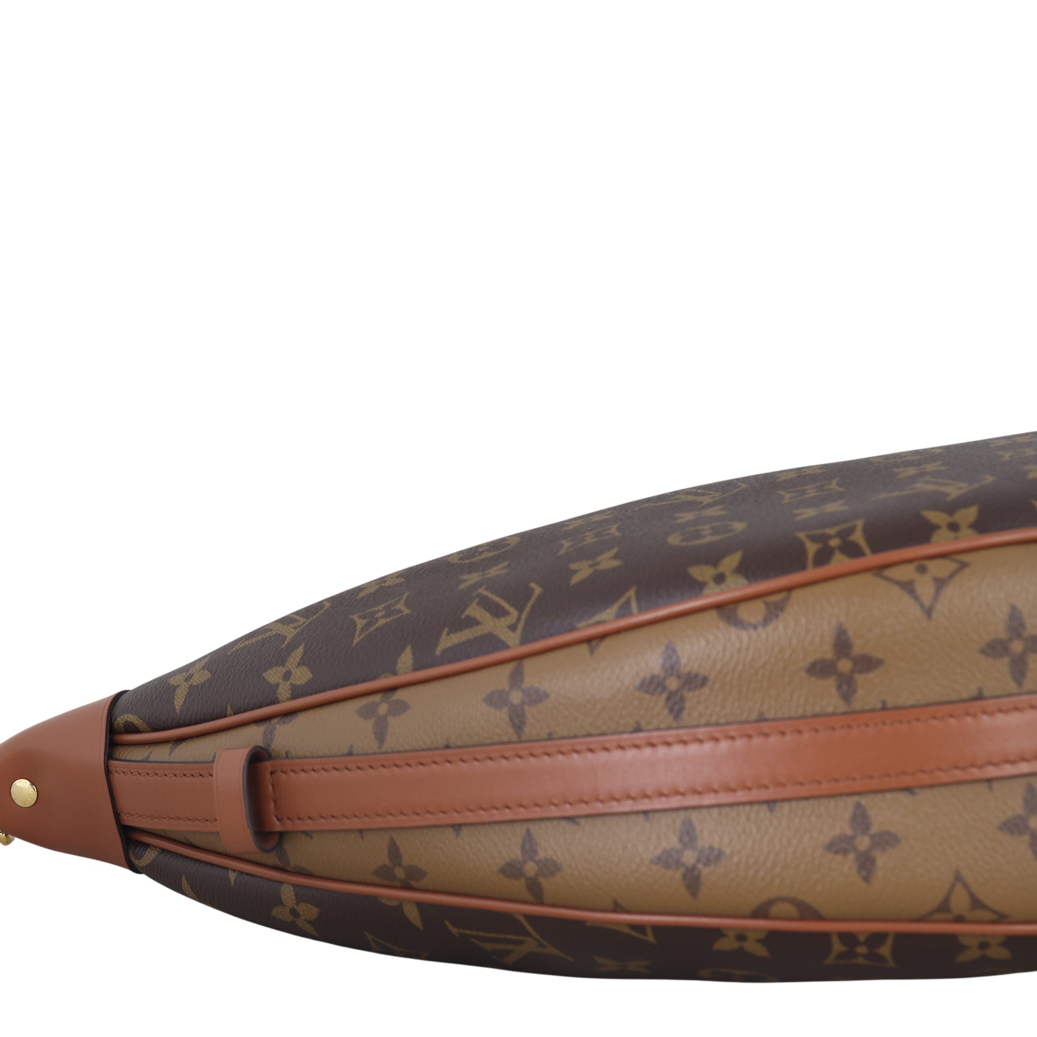 Louis Vuitton Loop Hobo Monogram