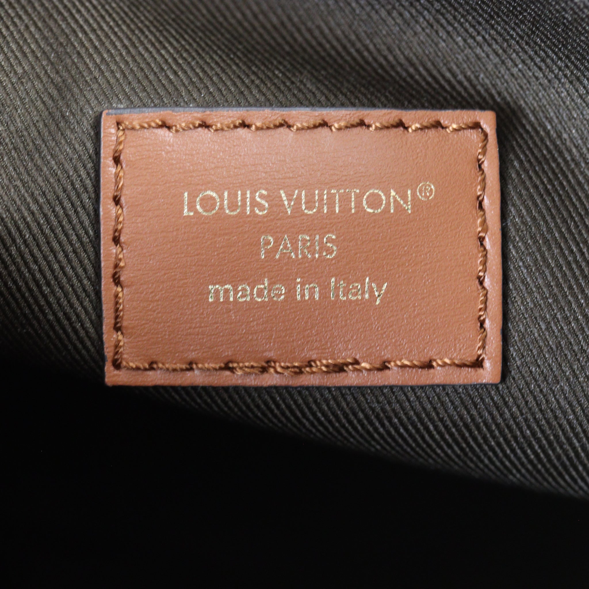 Louis Vuitton Loop Hobo Monogram