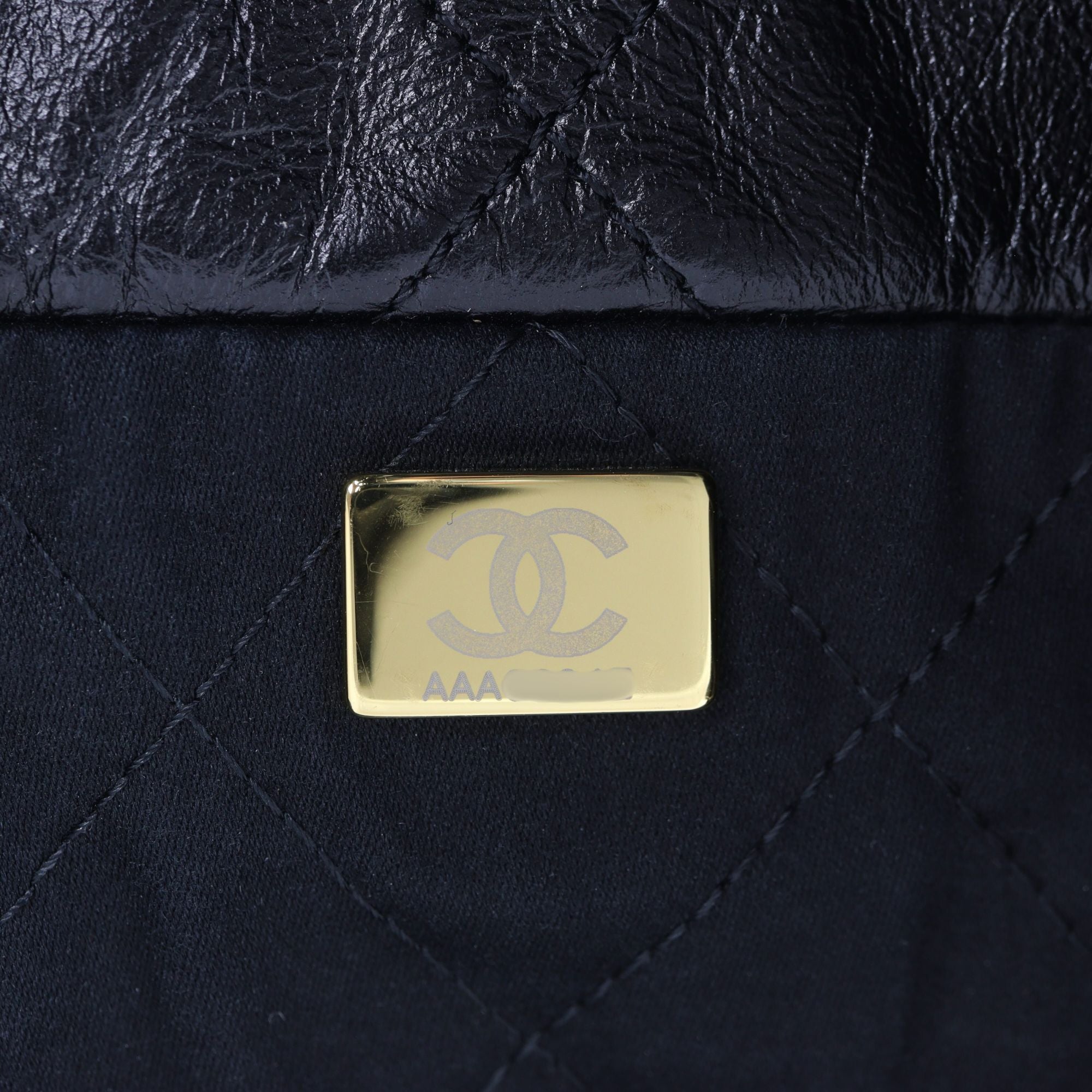 Chanel 22 Hobo Medium