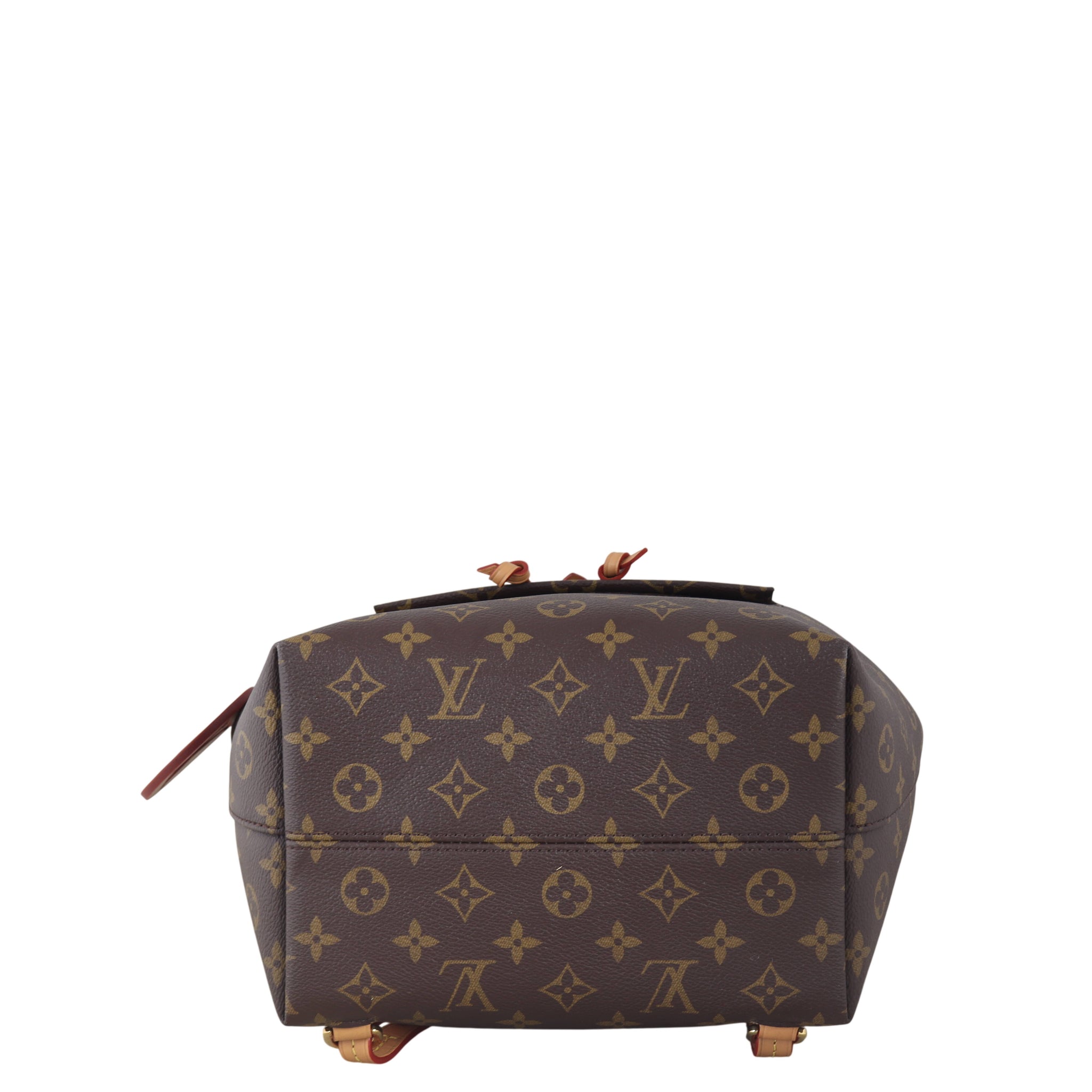 Louis Vuitton Montsouris PM Backpack Monogram