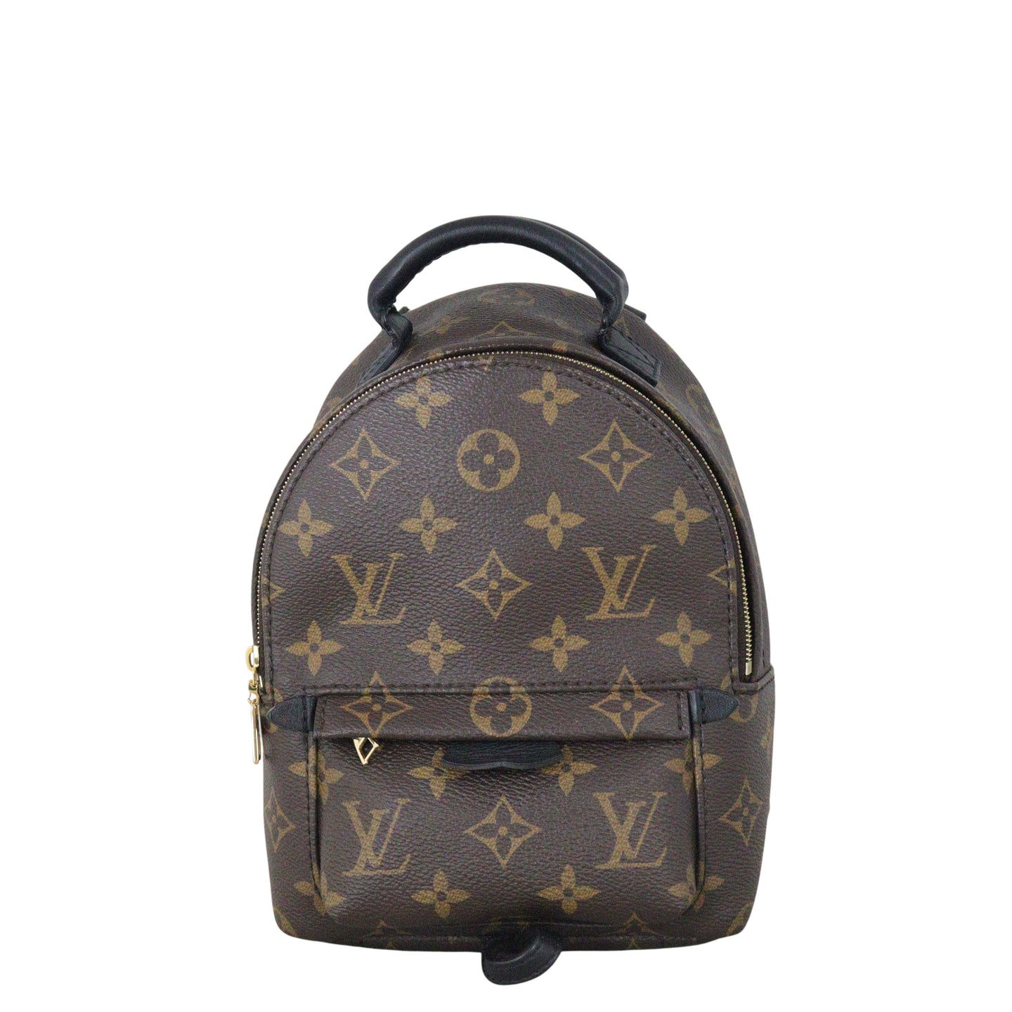 Louis Vuitton Palm Springs Mini Backpack Monogram