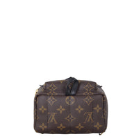 Louis Vuitton Palm Springs Mini Backpack Monogram