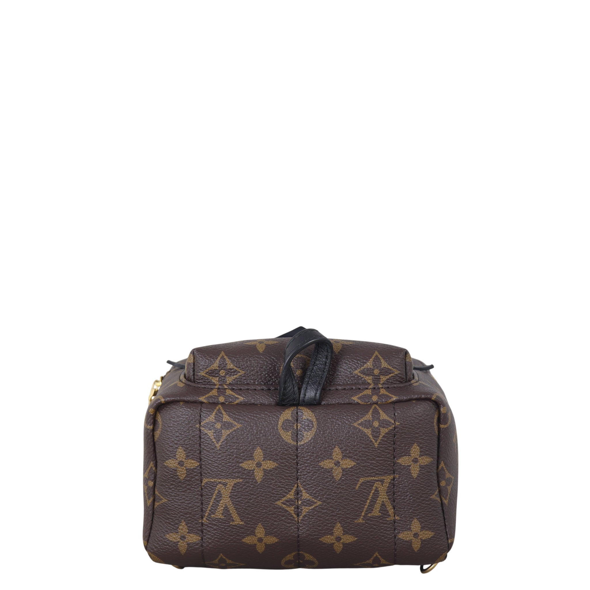Louis Vuitton Palm Springs Mini Backpack Monogram