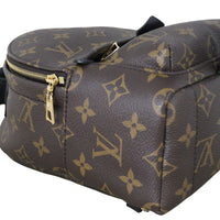 Louis Vuitton Palm Springs Mini Backpack Monogram