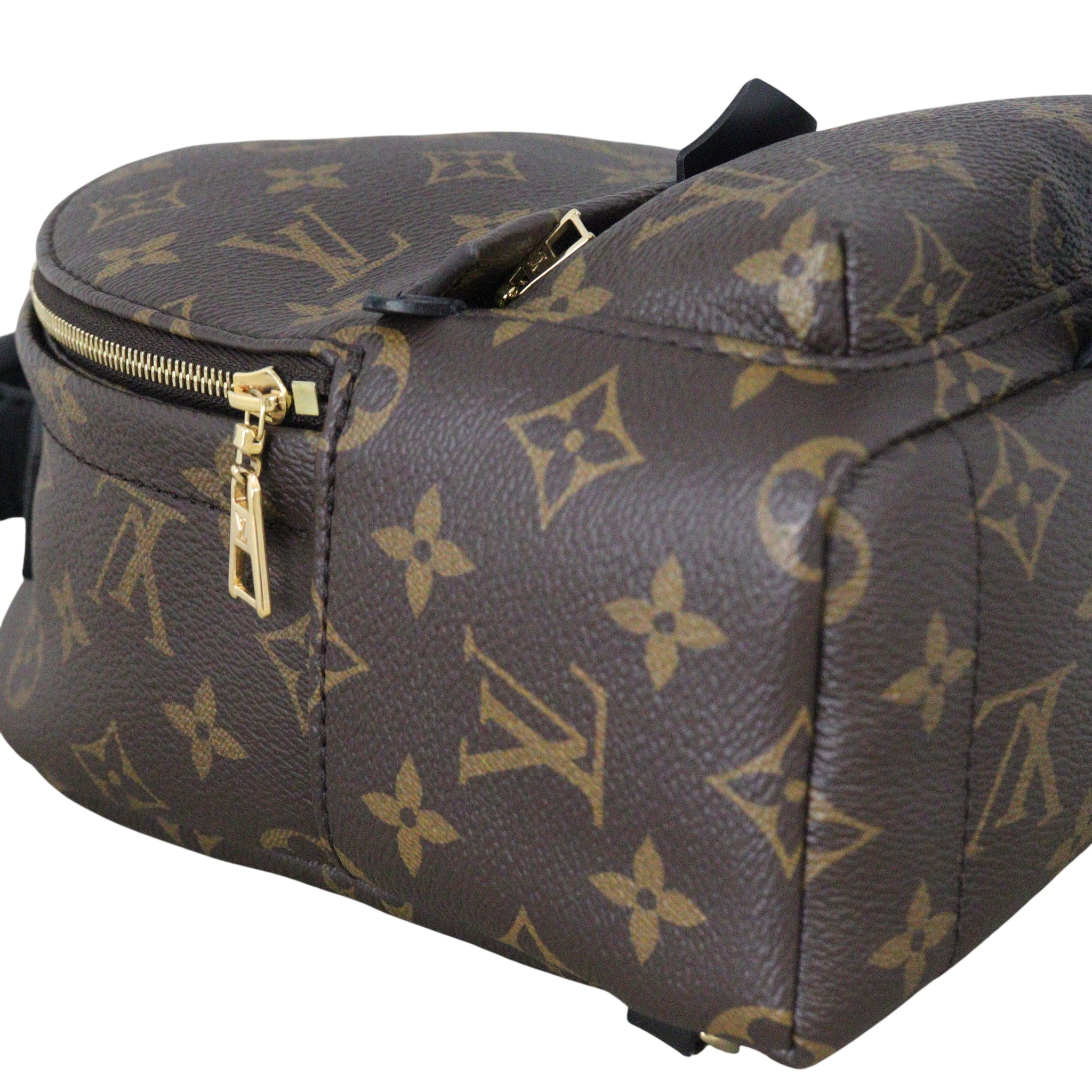 Louis Vuitton Palm Springs Mini Backpack Monogram
