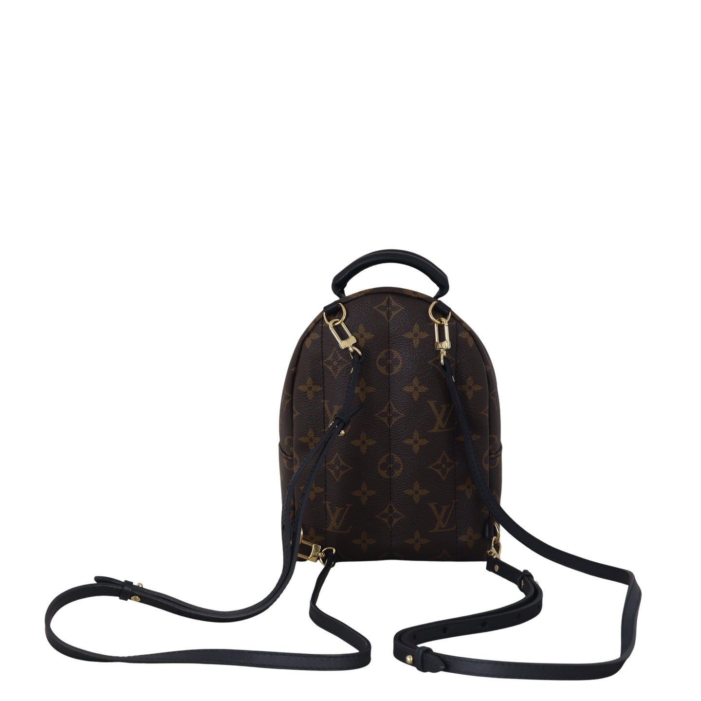 Louis Vuitton Palm Springs Mini Backpack Monogram