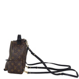 Louis Vuitton Palm Springs Mini Backpack Monogram