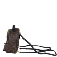 Louis Vuitton Palm Springs Mini Backpack Monogram