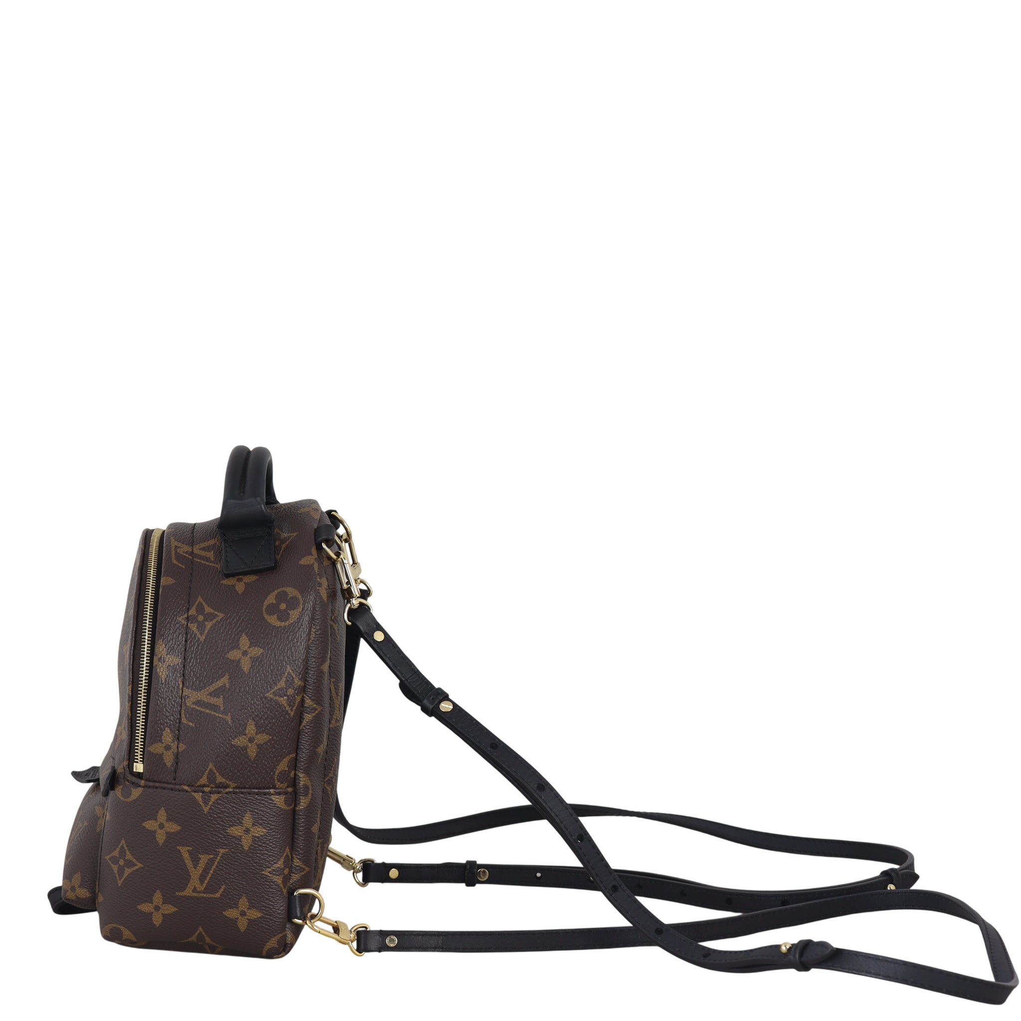 Louis Vuitton Palm Springs Mini Backpack Monogram