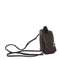 Louis Vuitton Palm Springs Mini Backpack Monogram