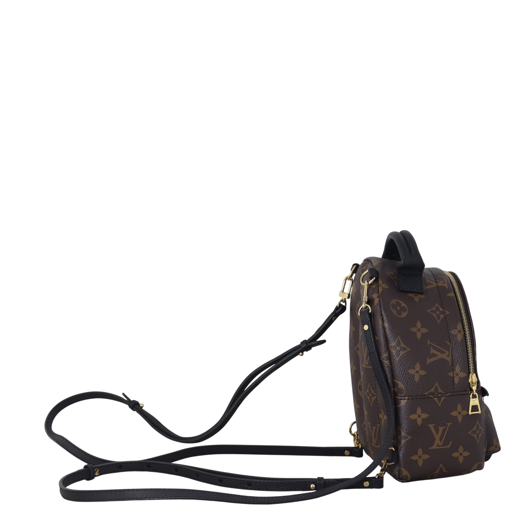 Louis Vuitton Palm Springs Mini Backpack Monogram