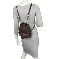 Louis Vuitton Palm Springs Mini Backpack Monogram
