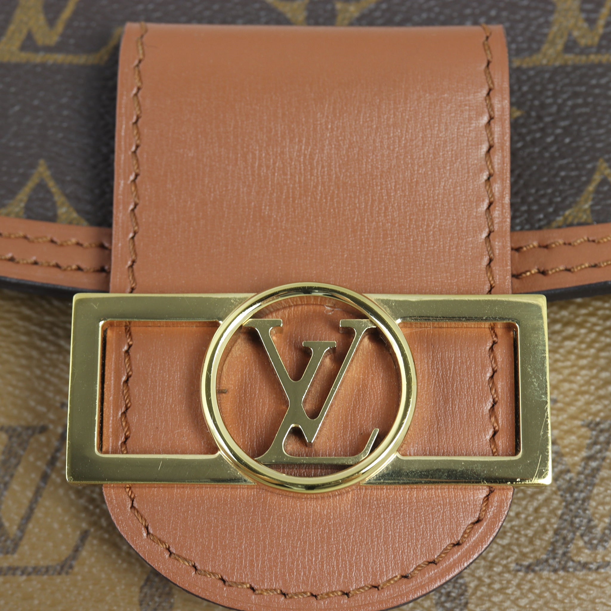 Louis Vuitton  Dauphine Chain Wallet Monogram Reverse