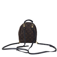 Louis Vuitton Palm Springs Mini Backpack Monogram