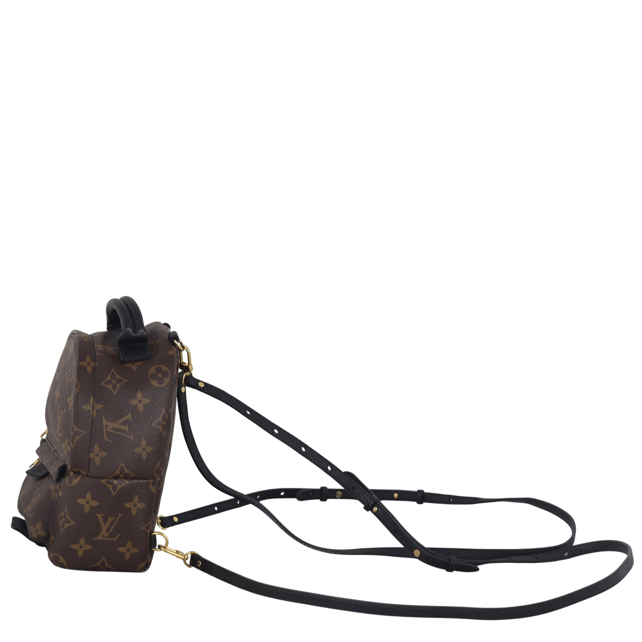 Louis Vuitton Palm Springs Mini Backpack Monogram – Luxe.It.Fwd