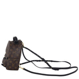 Louis Vuitton Palm Springs Mini Backpack Monogram