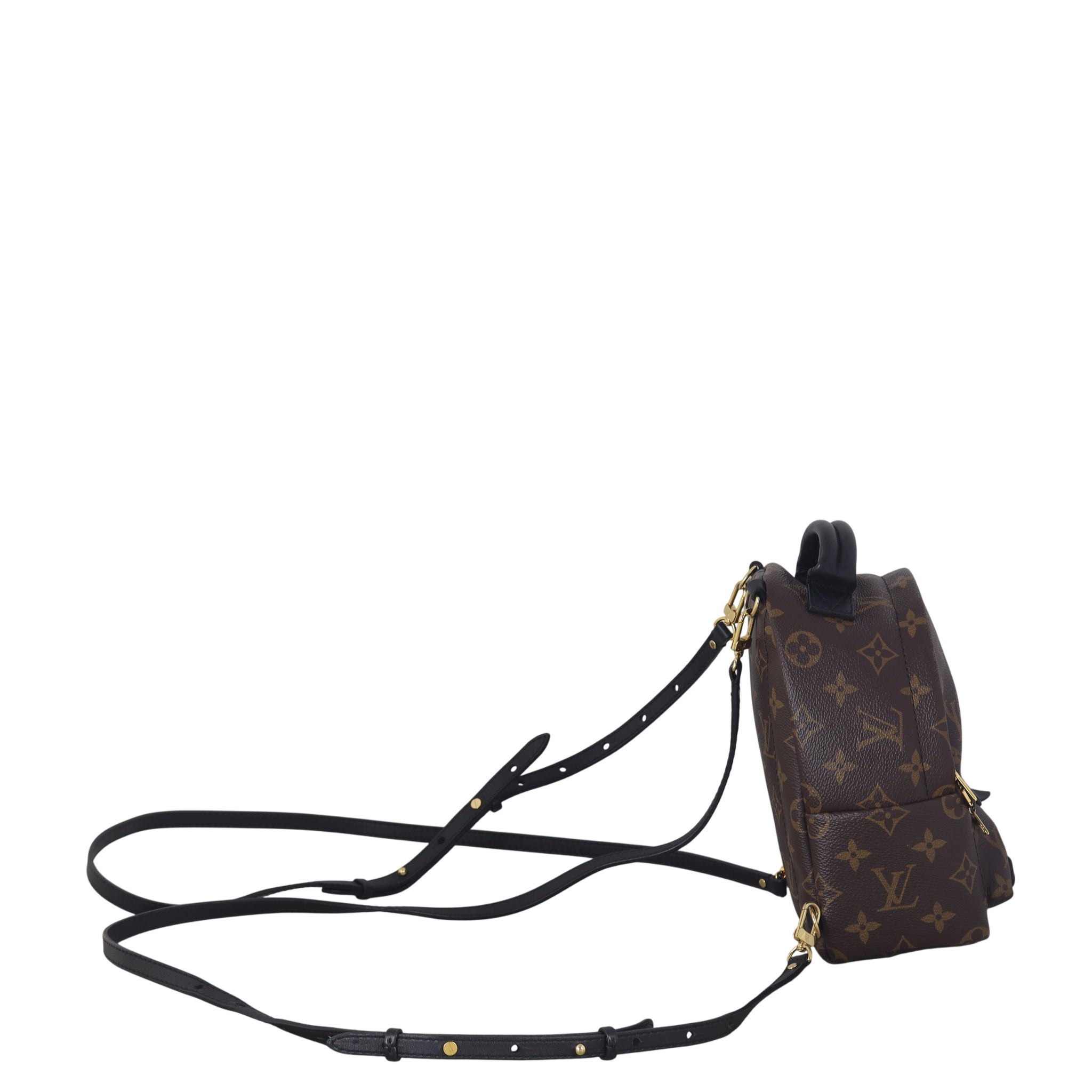 Louis Vuitton Palm Springs Mini Backpack Monogram – Luxe.It.Fwd