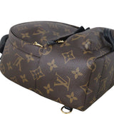 Louis Vuitton Palm Springs Mini Backpack Monogram